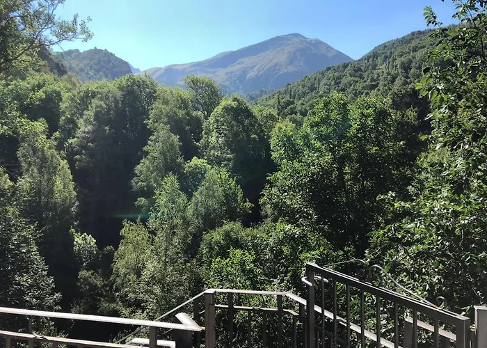 Mandilar 202 Pie De Pistas *